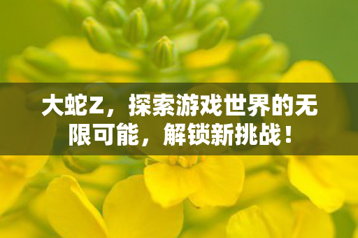 大蛇Z,探索游戏世界的无限可能,解锁新挑战! 大蛇Z,探索游戏世界的无限可能,解锁新挑战!