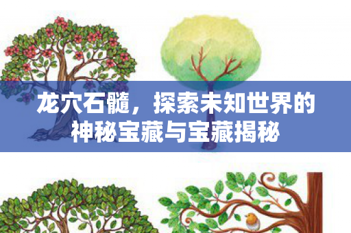 龙穴石髓，探索未知世界的神秘宝藏与宝藏揭秘