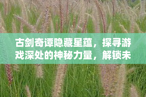探寻游戏深处的神秘力量图片