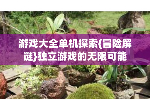 游戏大全单机探索{冒险解谜}独立游戏的无限可能 游戏大全单机探索{冒险解谜}独立游戏的无限可能