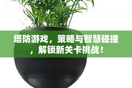 塔防游戏，策略与智慧碰撞，解锁新关卡挑战！