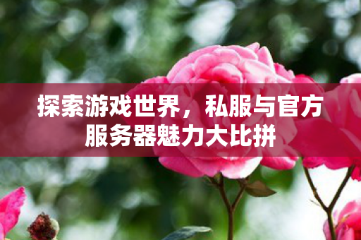 私服与官方服务器魅力大比拼图片