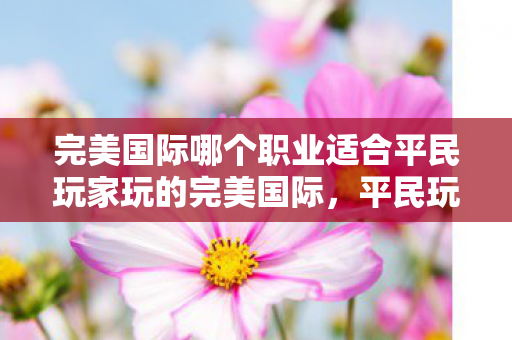 完美国际哪个职业适合平民玩家玩的完美国际，平民玩家的职业选择指南，完美国际，平民玩家的职业选择指南