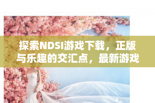 探索NDSI游戏下载，正版与乐趣的交汇点，最新游戏资源分享！
