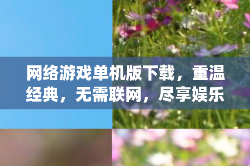 网络游戏单机版下载图片