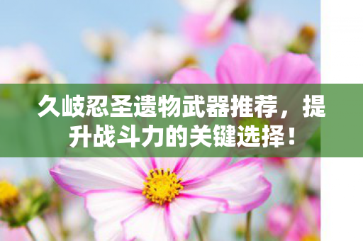久岐忍圣遗物武器推荐,提升战斗力的关键选择! 久岐忍圣遗物武器推荐,提升战斗力的关键选择!