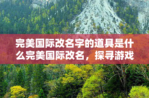 完美国际改名字的道具是什么完美国际改名，探寻游戏新名称背后的故事，完美国际改名，探寻游戏新名称背后的故事
