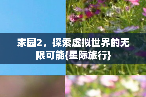 家园2，探索虚拟世界的无限可能{星际旅行}