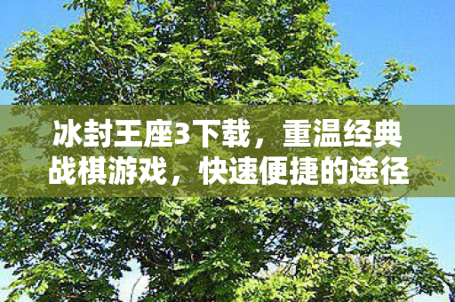 冰封王座3下载，重温经典战棋游戏，快速便捷的途径！