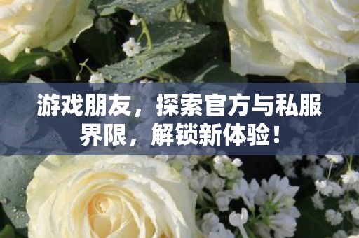 游戏朋友，探索官方与私服界限，解锁新体验！
