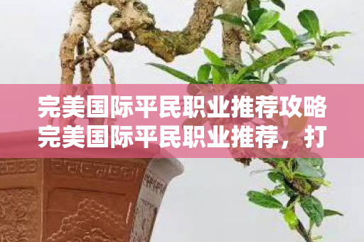 完美国际平民职业推荐攻略完美国际平民职业推荐，打造平民玩家的游戏之旅，完美国际平民职业推荐，打造平民玩家的游戏之旅