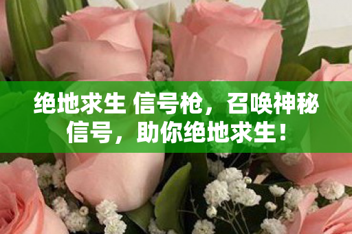 绝地求生 信号枪图片