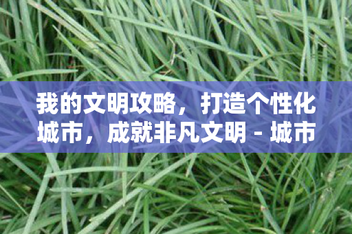 打造个性化城市图片