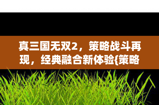 经典融合新体验图片