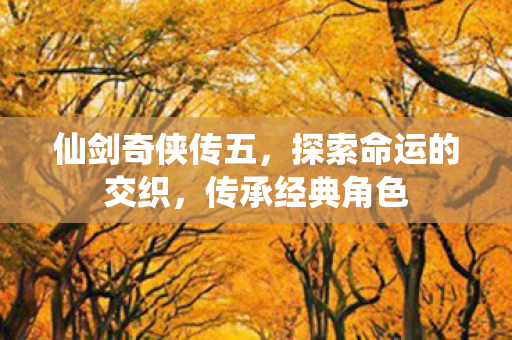 探索命运的交织图片