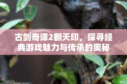 探寻经典游戏魅力与传承的奥秘图片