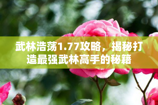 武林浩荡1.77攻略,揭秘打造最强武林高手的秘籍 武林浩荡1.77攻略,揭秘打造最强武林高手的秘籍