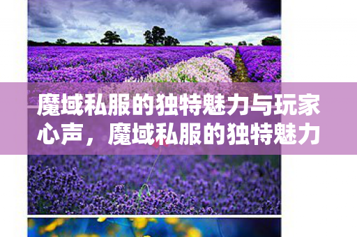 魔域私服的独特魅力与玩家心声图片