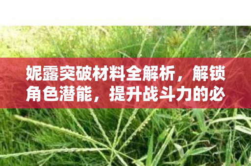 妮露突破材料全解析，解锁角色潜能，提升战斗力的必备指南