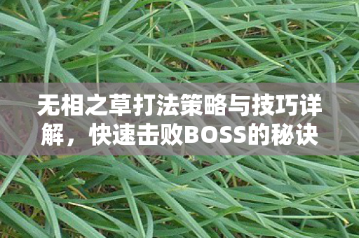 无相之草打法策略与技巧详解，快速击败BOSS的秘诀！