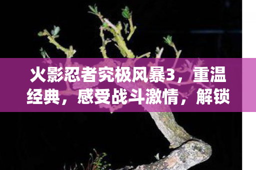 火影忍者究极风暴3图片