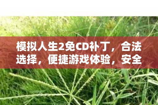 模拟人生2免CD补丁,合法选择,便捷游戏体验,安全无忧! 模拟人生2免CD补丁,合法选择,便捷游戏体验,安全无忧!