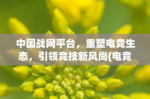 中国战网平台，重塑电竞生态，引领竞技新风尚{电竞创新}