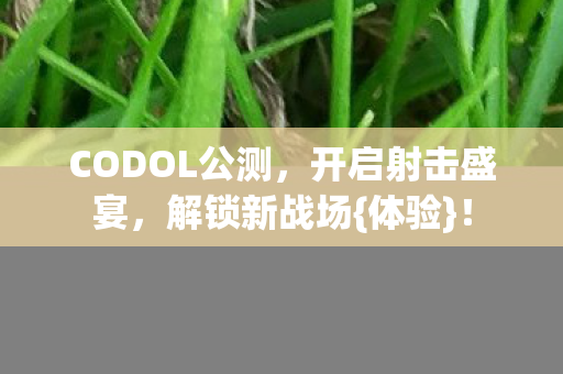 CODOL公测图片