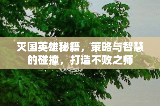 灭国英雄秘籍,策略与智慧的碰撞,打造不败之师 灭国英雄秘籍,策略与智慧的碰撞,打造不败之师