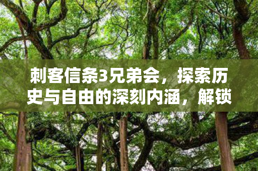 刺客信条3兄弟会,探索历史与自由的深刻内涵,解锁兄弟会之谜 刺客信条3兄弟会,探索历史与自由的深刻内涵,解锁兄弟会之谜