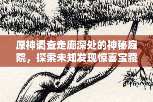 原神调查走廊深处的神秘庭院，探索未知发现惊喜宝藏！