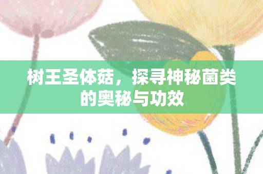 树王圣体菇，探寻神秘菌类的奥秘与功效