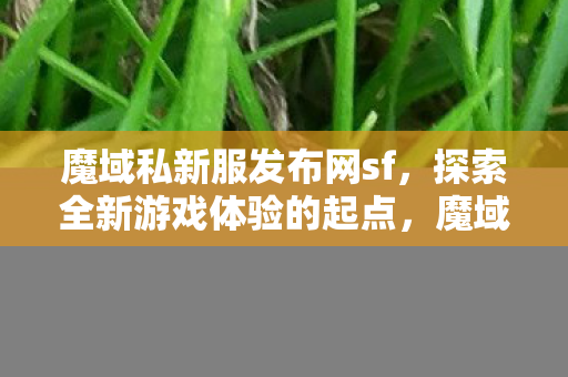 探索全新游戏体验的起点图片