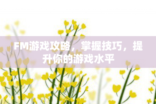 FM游戏攻略，掌握技巧，提升你的游戏水平
