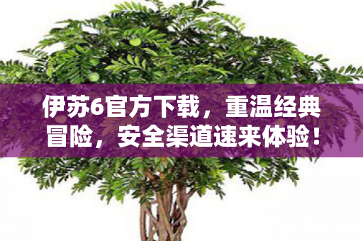 伊苏6官方下载，重温经典冒险，安全渠道速来体验！