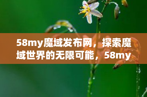 探索魔域世界的无限可能图片