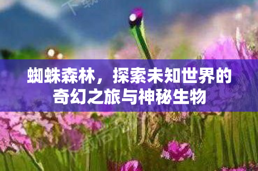 蜘蛛森林，探索未知世界的奇幻之旅与神秘生物