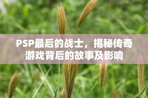 PSP最后的战士，揭秘传奇游戏背后的故事及影响