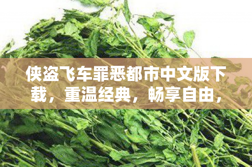 侠盗飞车罪恶都市中文版下载图片