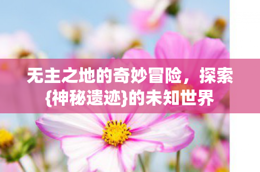无主之地的奇妙冒险图片