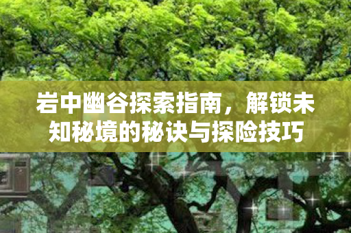 岩中幽谷探索指南，解锁未知秘境的秘诀与探险技巧