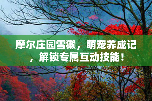 摩尔庄园雪獭，萌宠养成记，解锁专属互动技能！