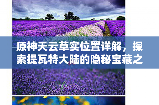 探索提瓦特大陆的隐秘宝藏之天云草实获取攻略图片