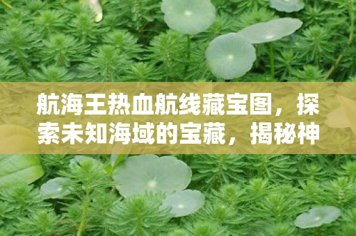 航海王热血航线藏宝图图片