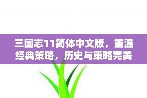 三国志11简体中文版，重温经典策略，历史与策略完美融合，策略游戏新体验！