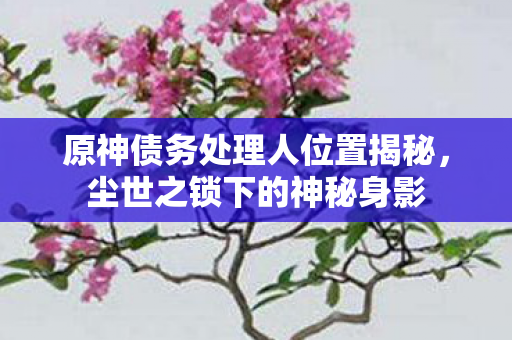 原神债务处理人位置揭秘，尘世之锁下的神秘身影