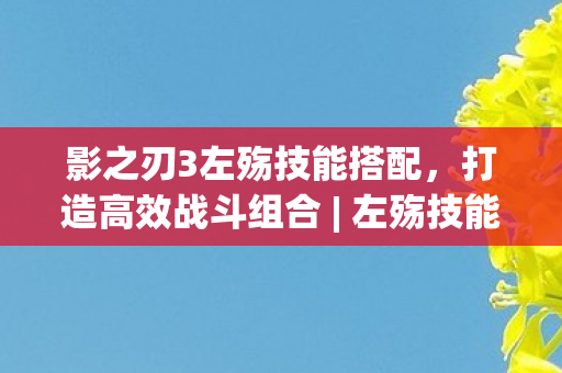 影之刃3左殇技能搭配，打造高效战斗组合 | 左殇技能搭配推荐
