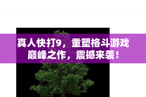 真人快打9，重塑格斗游戏巅峰之作，震撼来袭！