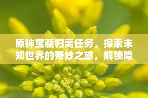 原神宝藏归离任务，探索未知世界的奇妙之旅，解锁隐藏宝藏
