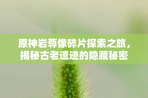 原神岩尊像碎片探索之旅，揭秘古老遗迹的隐藏秘密